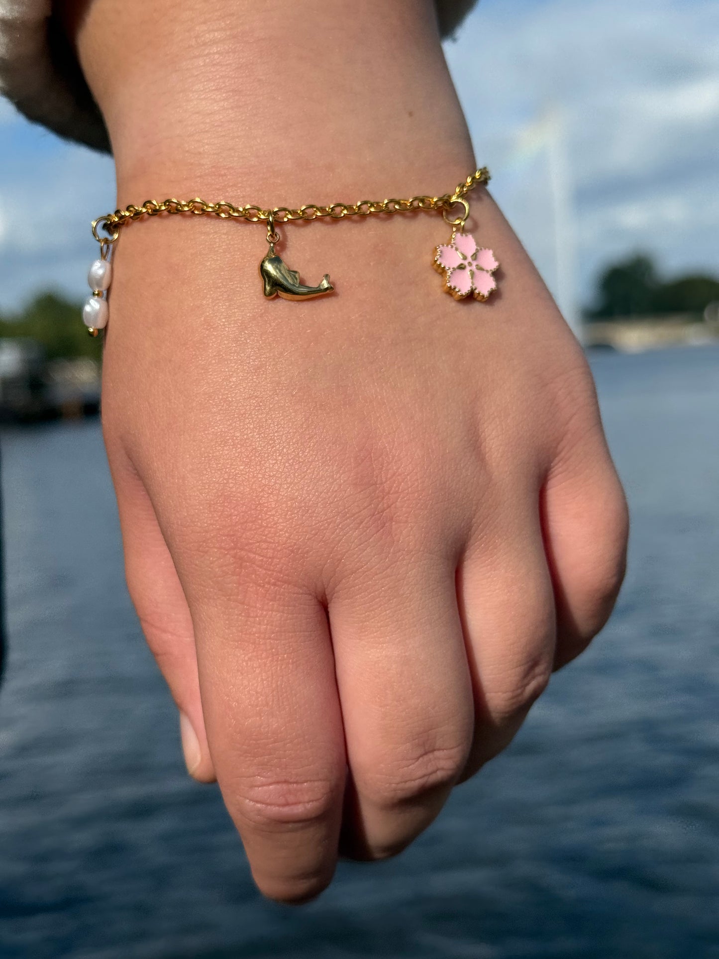 Delfin Charm
