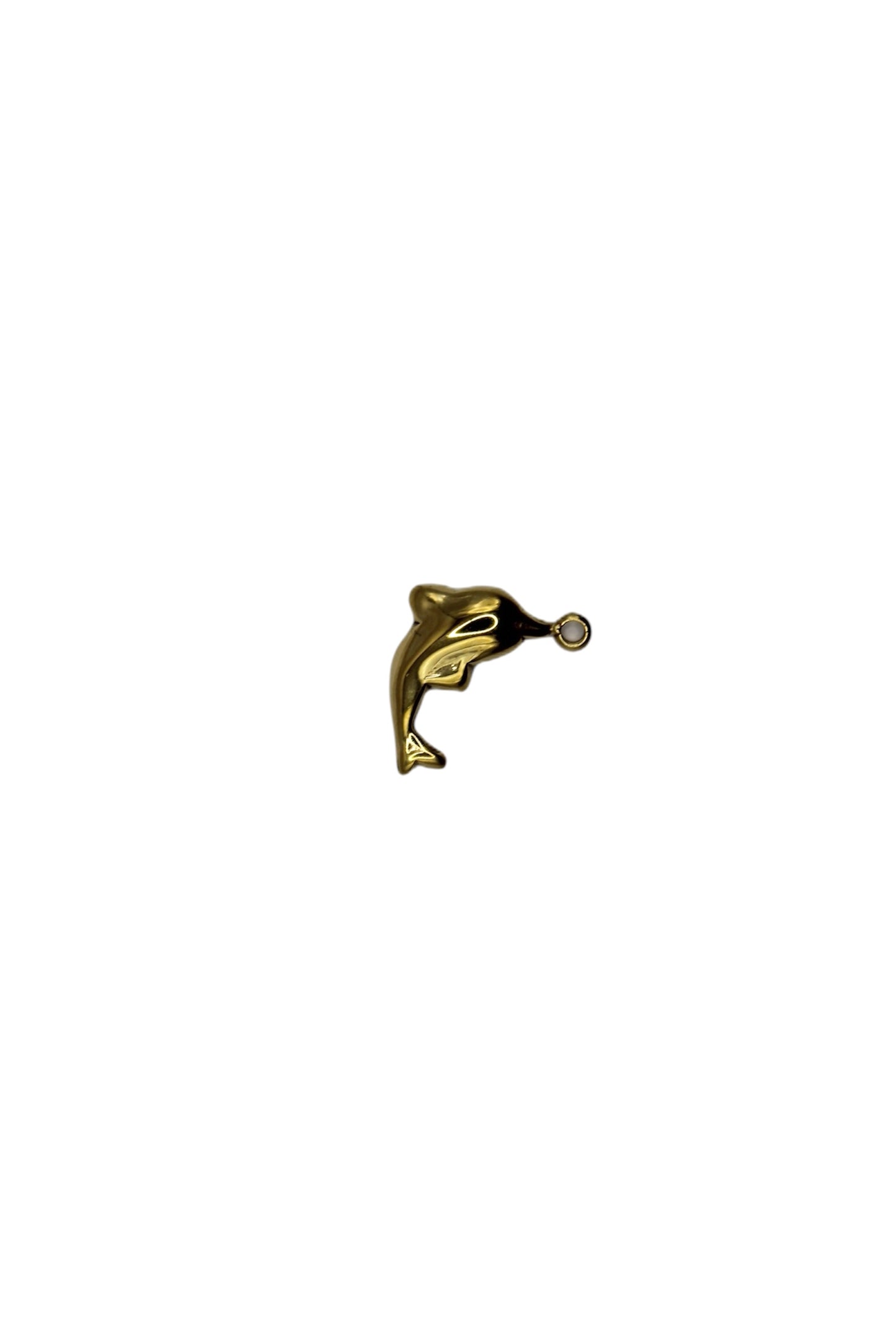 Delfin Charm